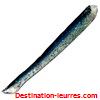 Aa's dancing minnow 4