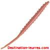 Berkley gulp alive arenicola 10cm par 18