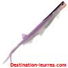 Carnassier quantum specialist pelagic shad 21cm par 2