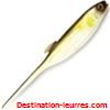 Castaic jerky j super soft 12.5cm