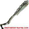 Fishkix bull beast 20cm