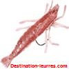 Flashmer crevettes montees par 10