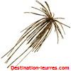 Jupe pour spinnerbait hayabusa ebisen par 2