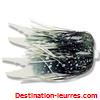 Jupe spinner delalande fines lamelles + craw par 2