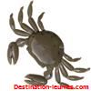 Marukyu crab 2cm par 8