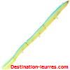 Megabass eeler 23.5cm