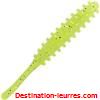 Reins aji ringer 4cm par 15
