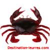 Savage gear 3d manic crab 7.5cm par 3