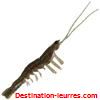 Savage gear 3d manic shrimp 5cm par 6