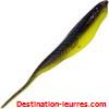 Vagabond koayu stud 12.5cm par 5